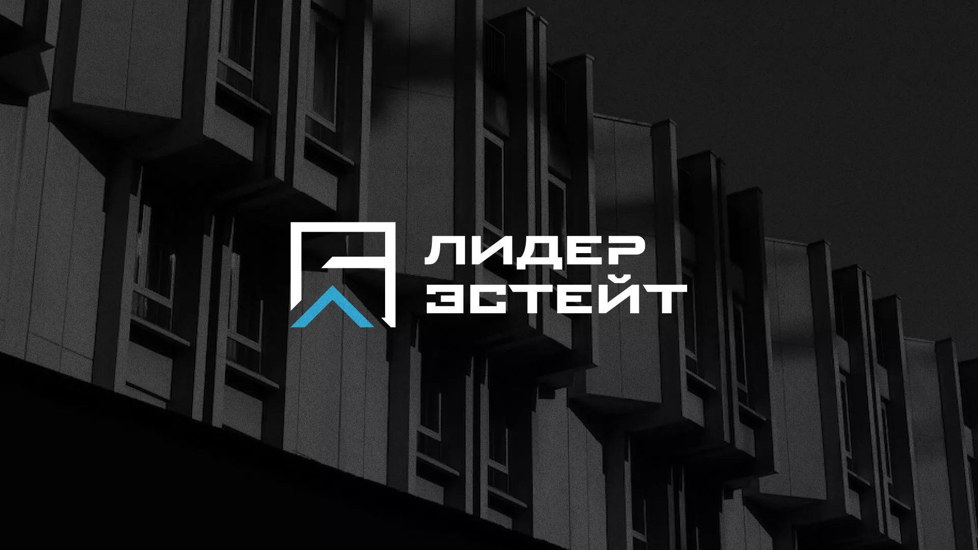 Разработка логотипа агентства недвижимости «Лидер Эстейт» в Медногорске